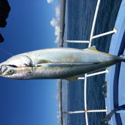 松鶴丸 釣果