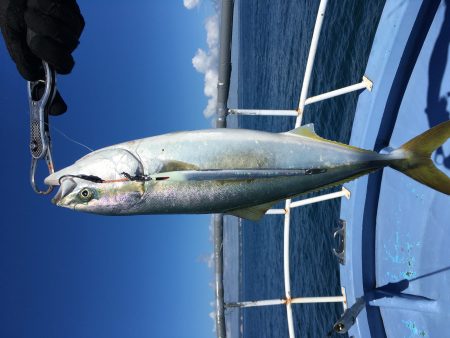 松鶴丸 釣果