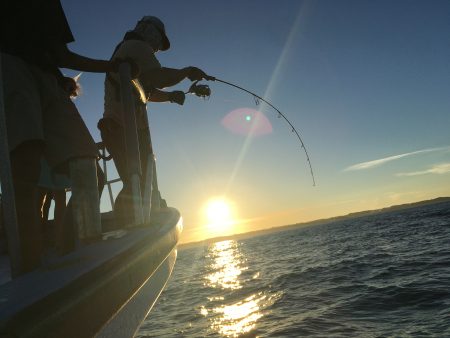 松鶴丸 釣果