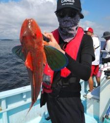 東京湾探釣隊ぼっち 釣果