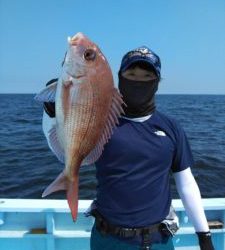 東京湾探釣隊ぼっち 釣果