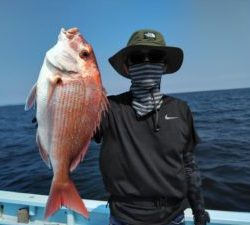 東京湾探釣隊ぼっち 釣果