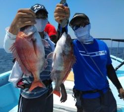 東京湾探釣隊ぼっち 釣果