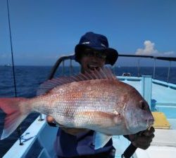 東京湾探釣隊ぼっち 釣果