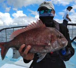 東京湾探釣隊ぼっち 釣果