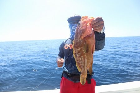 エル・クルーズ 釣果