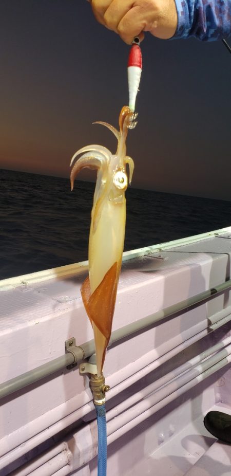 海龍丸（石川） 釣果