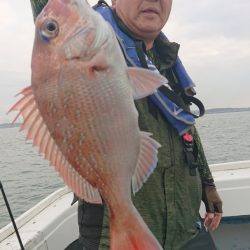 だて丸 釣果