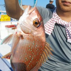 新幸丸 釣果