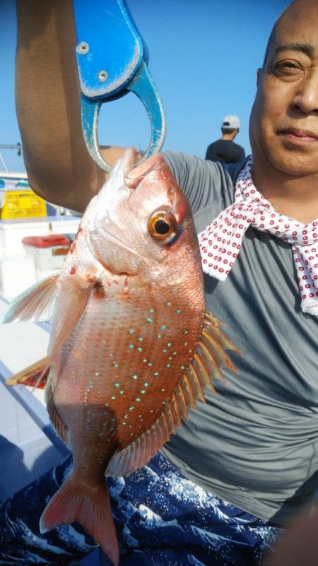 新幸丸 釣果