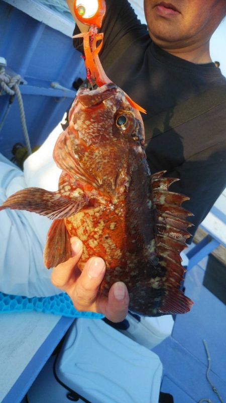 新幸丸 釣果