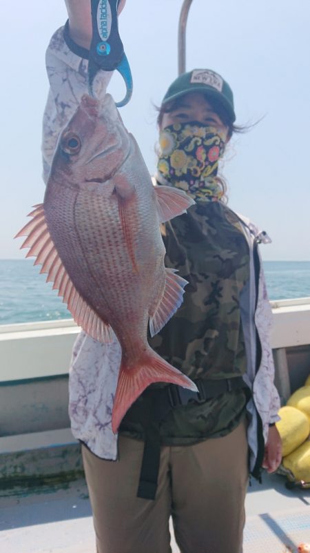 だて丸 釣果