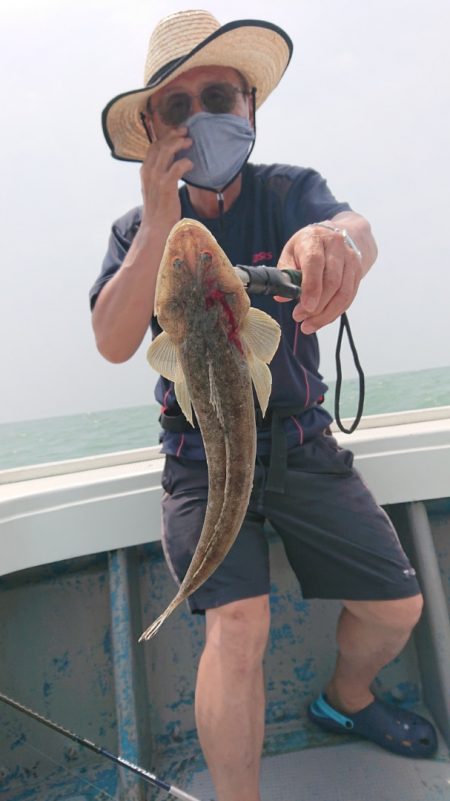 だて丸 釣果