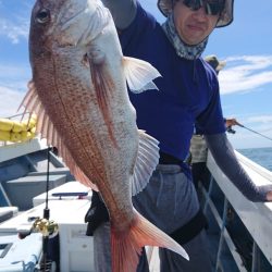 だて丸 釣果