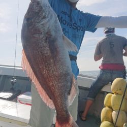 だて丸 釣果