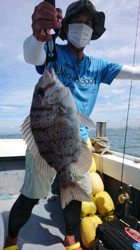 だて丸 釣果