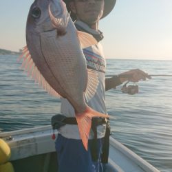 だて丸 釣果