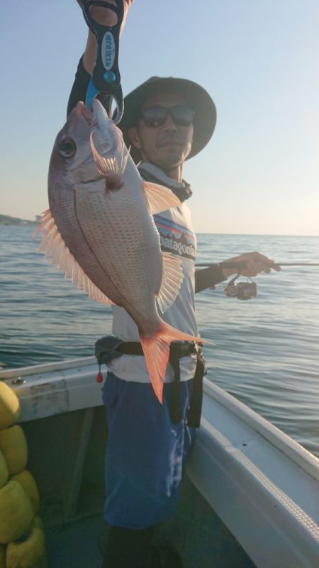 だて丸 釣果