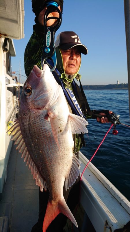 だて丸 釣果