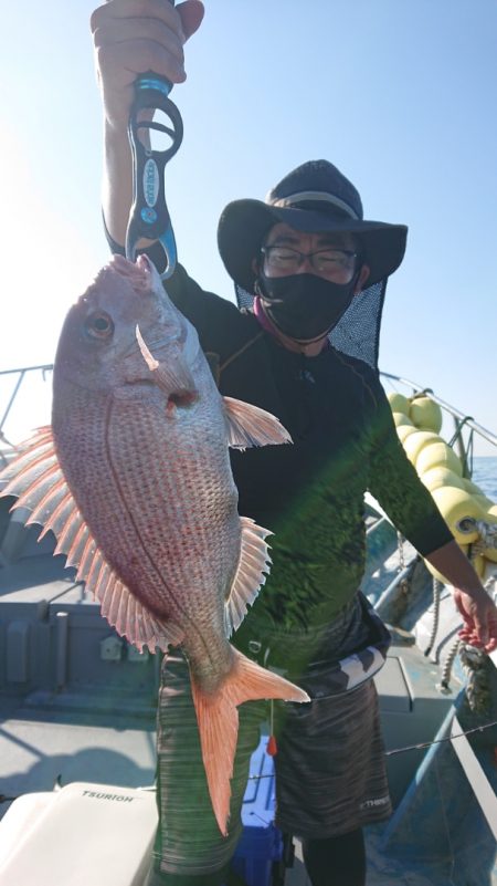 だて丸 釣果