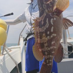 だて丸 釣果