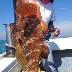 だて丸 釣果