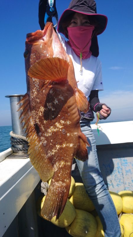 だて丸 釣果