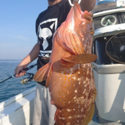 だて丸 釣果