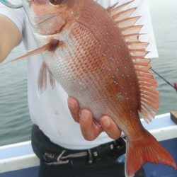 新幸丸 釣果