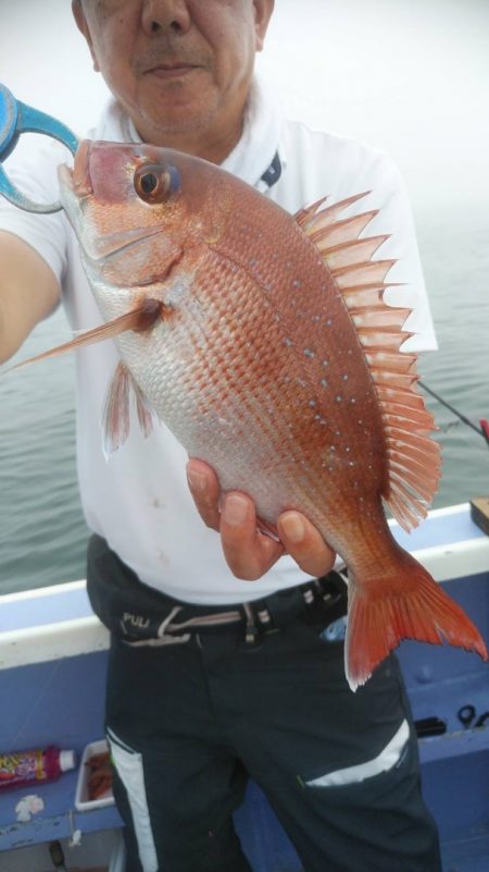 新幸丸 釣果