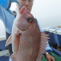 新幸丸 釣果