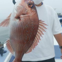 新幸丸 釣果