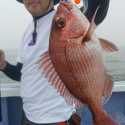 新幸丸 釣果