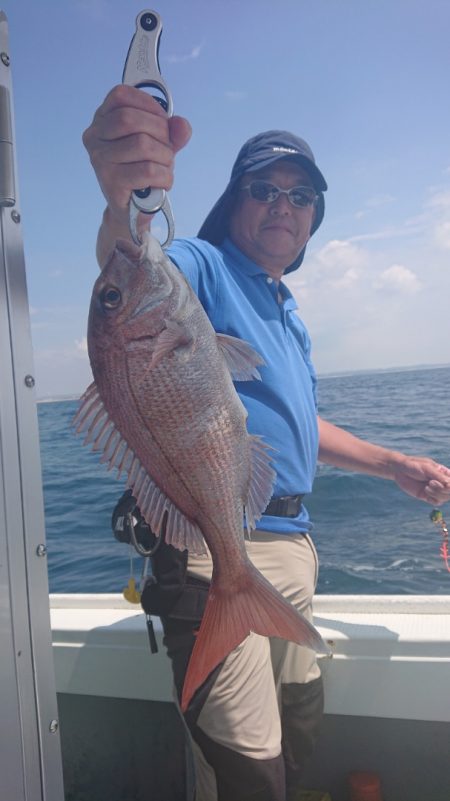 だて丸 釣果