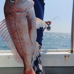 だて丸 釣果