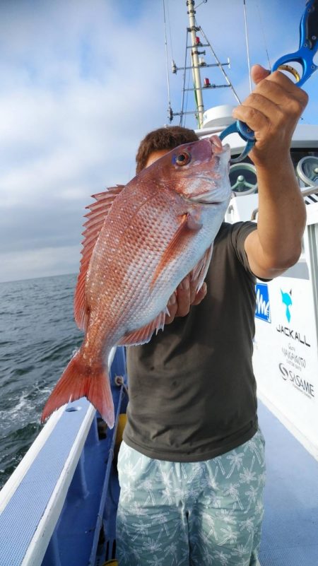 新幸丸 釣果