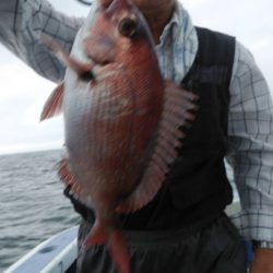 新幸丸 釣果