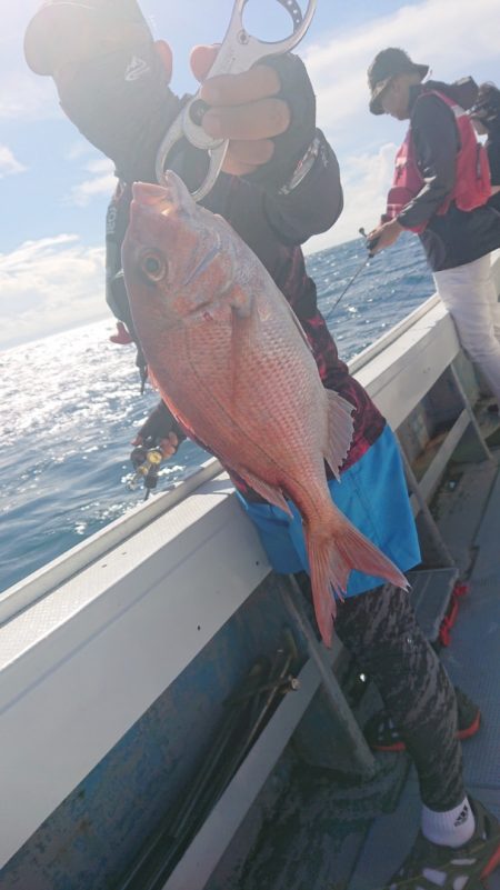 だて丸 釣果