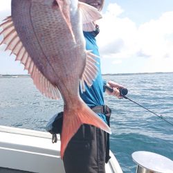 だて丸 釣果