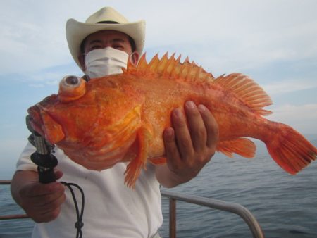 伸成丸 釣果