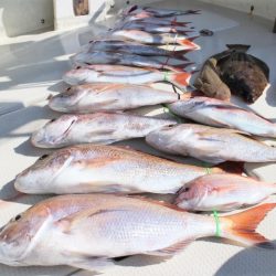 KIM Fishing Guide Service 釣果