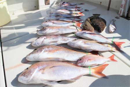 KIM Fishing Guide Service 釣果