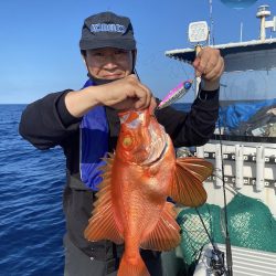 幕島丸 釣果