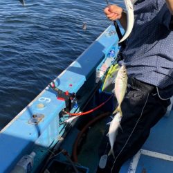 ヤザワ渡船 釣果