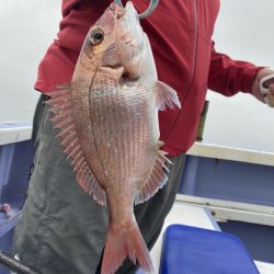 新幸丸 釣果