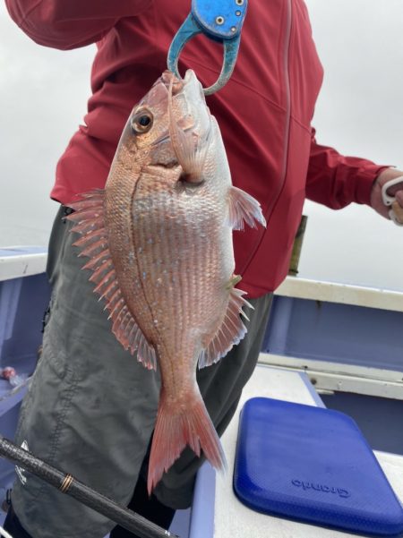 新幸丸 釣果