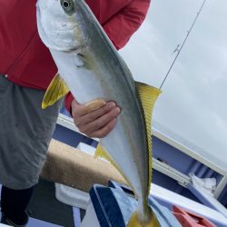 新幸丸 釣果