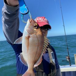 新幸丸 釣果