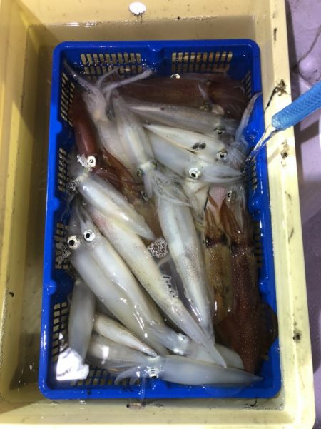 海龍丸（石川） 釣果