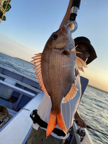 新幸丸 釣果